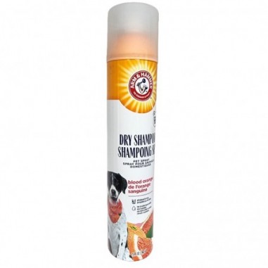 Spray si Sampon Uscat 2-in-1